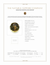 Jewelry Scan Report