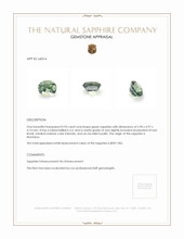 0.93 Ct. Green Sapphire from Montana Appraisal