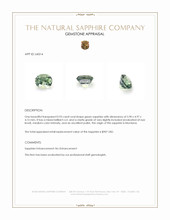 0.93 Ct. Green Sapphire from Montana Appraisal