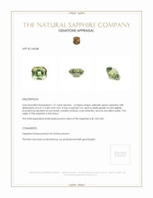 Jewelry Appraisal