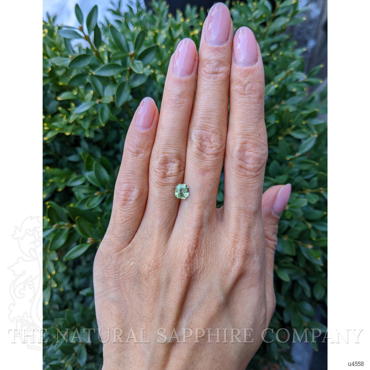 1.27 Ct. Yellowish Green Sapphire from Montana