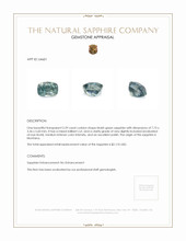 Jewelry Appraisal