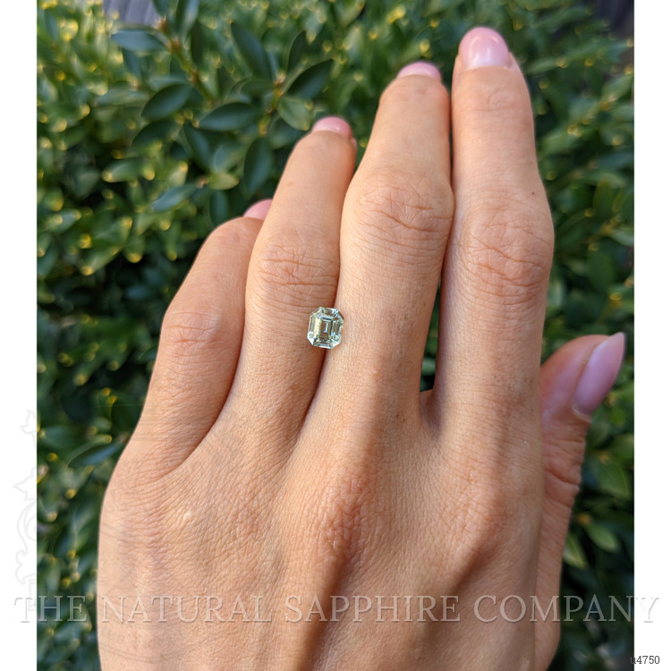 1.31 Ct. Yellowish Green Sapphire from Montana