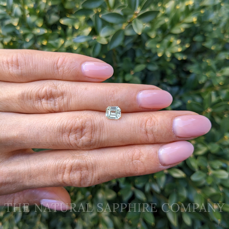 1.31 Ct. Yellowish Green Sapphire from Montana