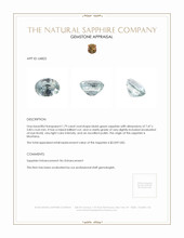 Jewelry Appraisal
