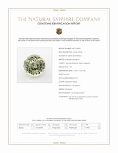 Jewelry Scan Report