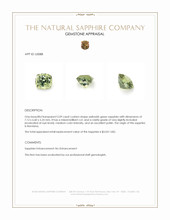 Jewelry Appraisal