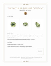 Jewelry Appraisal