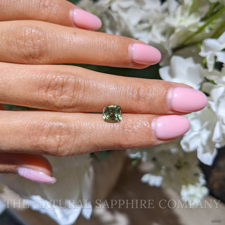 2.09 Ct. Yellowish Green Sapphire from Montana