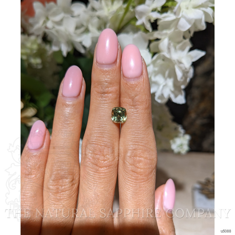 2.09 Ct. Yellowish Green Sapphire from Montana