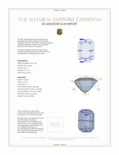 Jewelry 3 D Scan Report