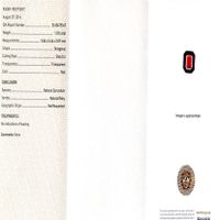 Jewelry Scan Report