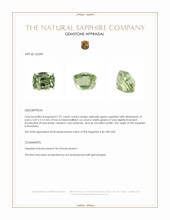 1.91 Ct. Yellowish Green Sapphire from Montana Appraisal