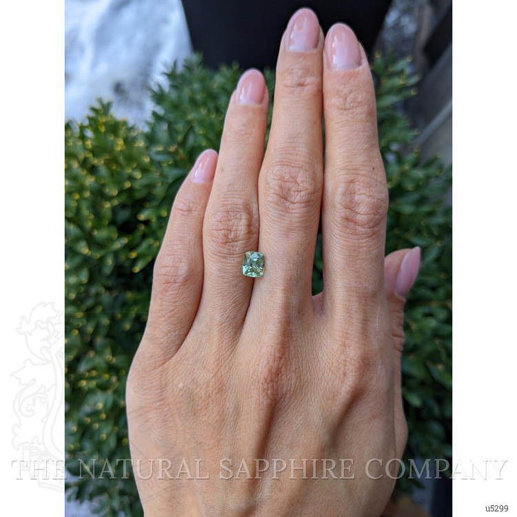 1.91 Ct. Yellowish Green Sapphire from Montana