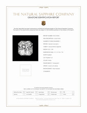 Jewelry Scan Report