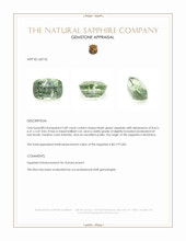 2.89 Ct. Bluish Green Sapphire from Montana Appraisal