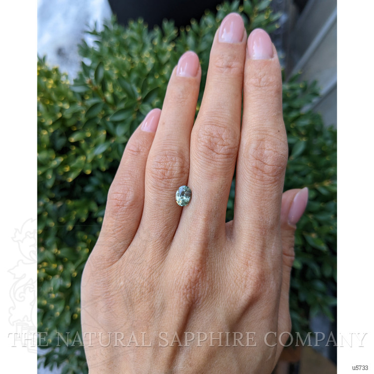 1.10 Ct. Yellowish Green Sapphire from Montana