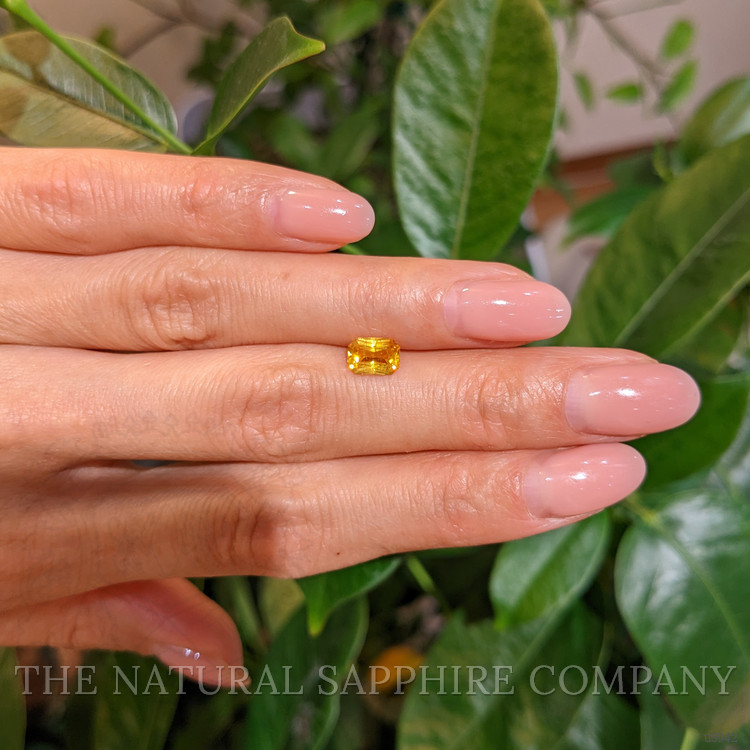1.03 Ct. Orangish Yellow Sapphire from Ceylon (Sri Lanka)