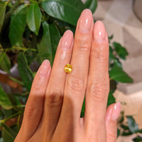 1.47 Ct. Orangish Yellow Sapphire from Ceylon (Sri Lanka) Life Style