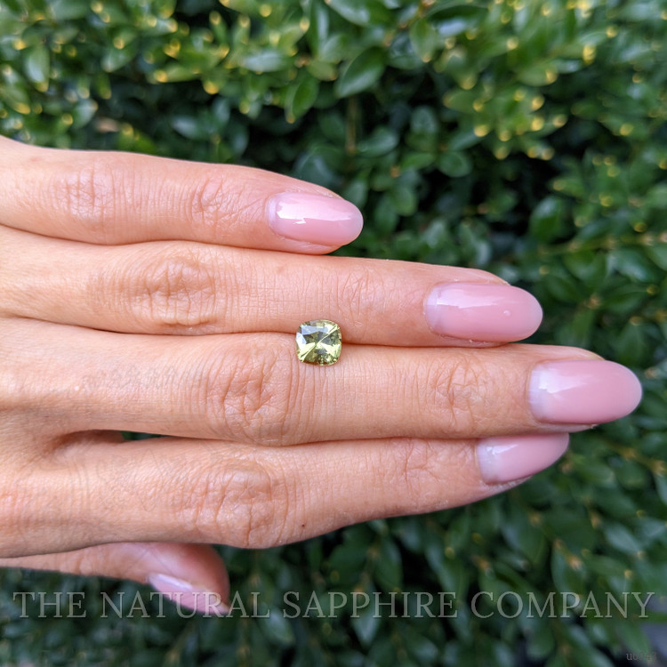 1.38 Ct. Yellowish Green Sapphire from Ceylon (Sri Lanka)