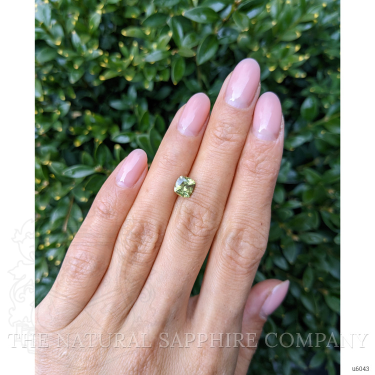 1.38 Ct. Yellowish Green Sapphire from Ceylon (Sri Lanka)