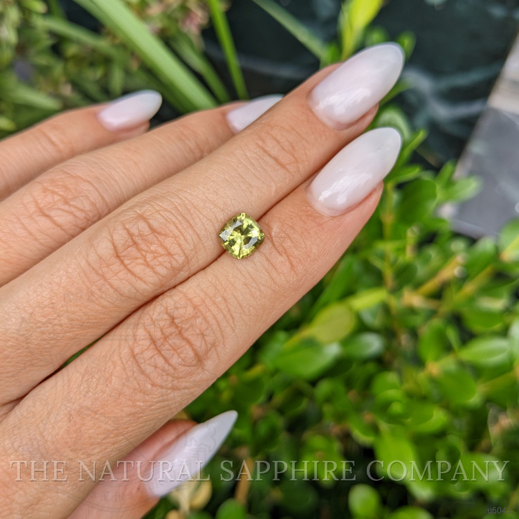 1.38 Ct. Yellowish Green Sapphire from Ceylon (Sri Lanka)