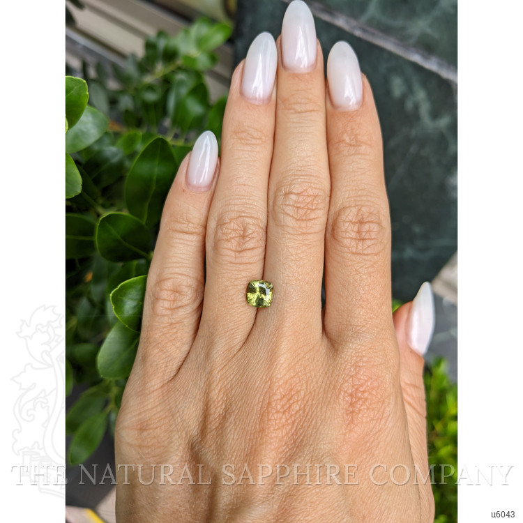 1.38 Ct. Yellowish Green Sapphire from Ceylon (Sri Lanka)