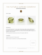 Jewelry Appraisal