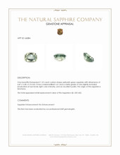 Jewelry Appraisal
