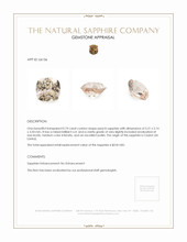 Jewelry Appraisal