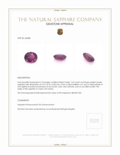 3.54 Ct. Pinkish Purple Sapphire from Ceylon (Sri Lanka) Appraisal