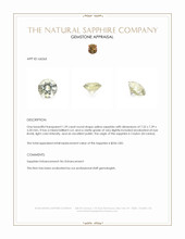 Jewelry Appraisal