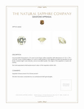 Jewelry Appraisal