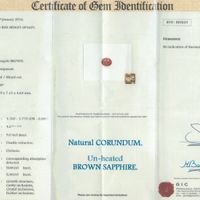 Jewelry Scan Report