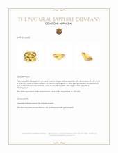Jewelry Appraisal