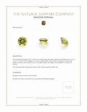 Jewelry Appraisal