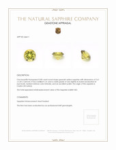 Jewelry Appraisal
