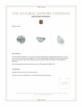 Jewelry Appraisal
