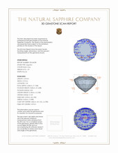 Jewelry 3 D Scan Report