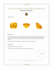 Jewelry Appraisal