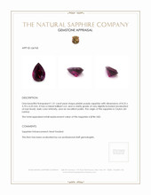 Jewelry Appraisal
