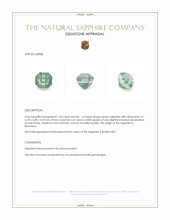 Jewelry Appraisal