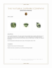 Jewelry Appraisal
