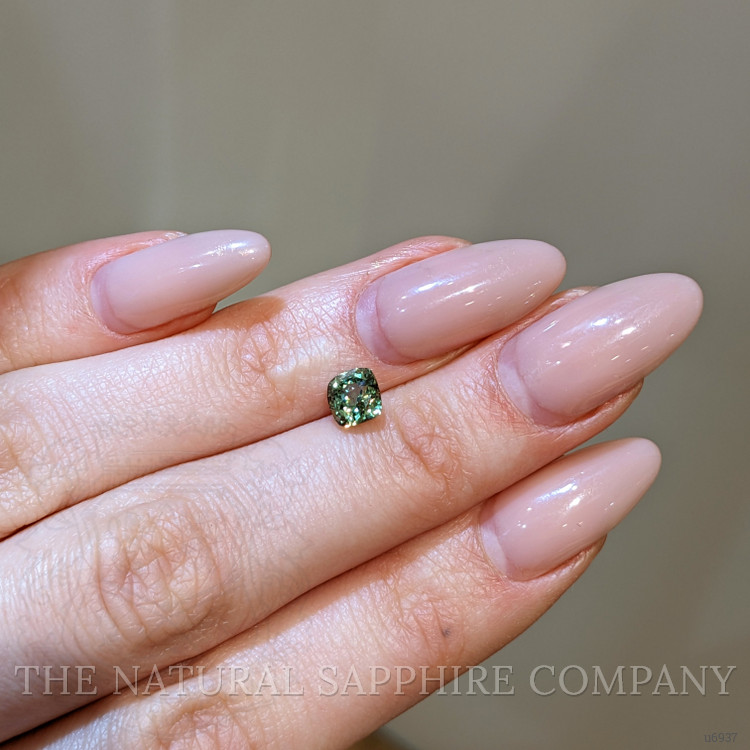1.34 Ct. Yellowish Green Sapphire from Montana
