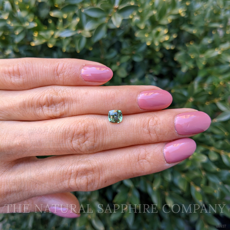 1.34 Ct. Yellowish Green Sapphire from Montana