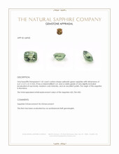 Jewelry Appraisal