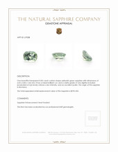 Jewelry Appraisal