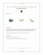Jewelry Appraisal