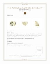 3.22 Ct. Yellow Sapphire from Ceylon (Sri Lanka) Appraisal