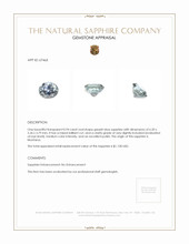 Jewelry Appraisal